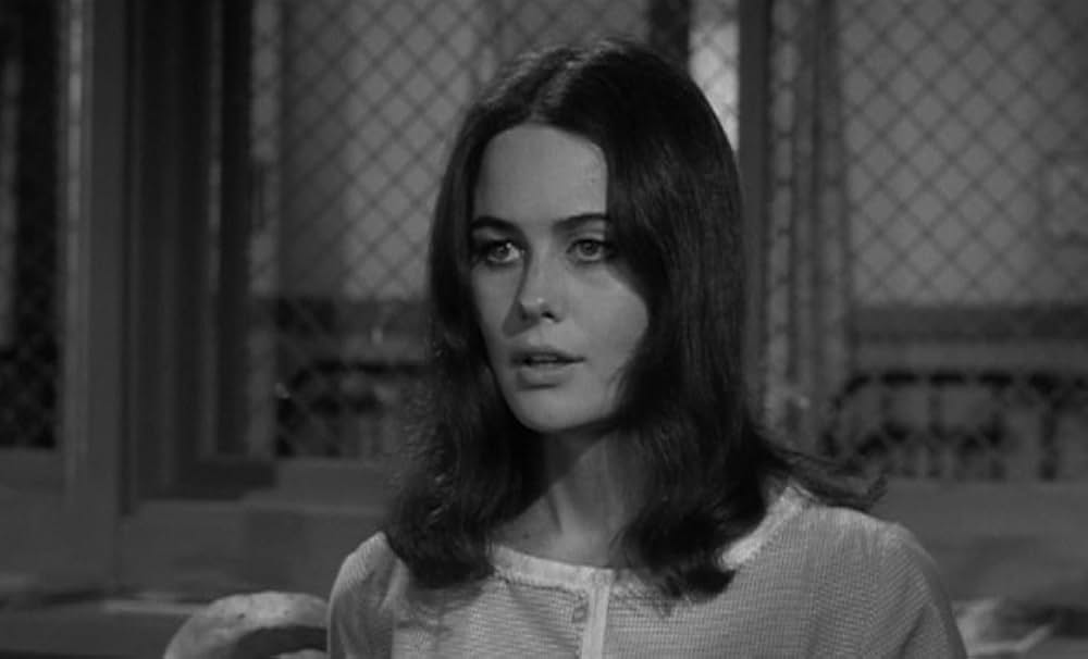 The Caretakers（原題）の画像