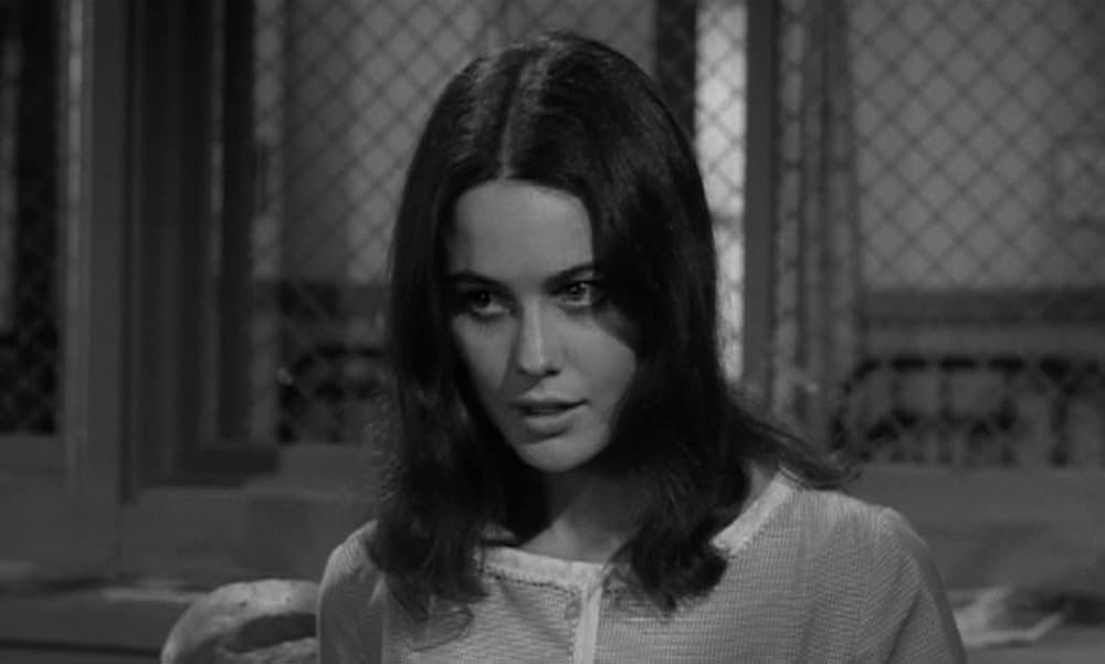 The Caretakers（原題）の画像