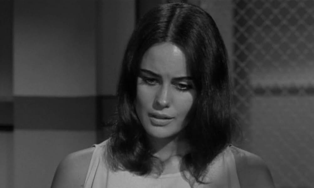 The Caretakers（原題）の画像