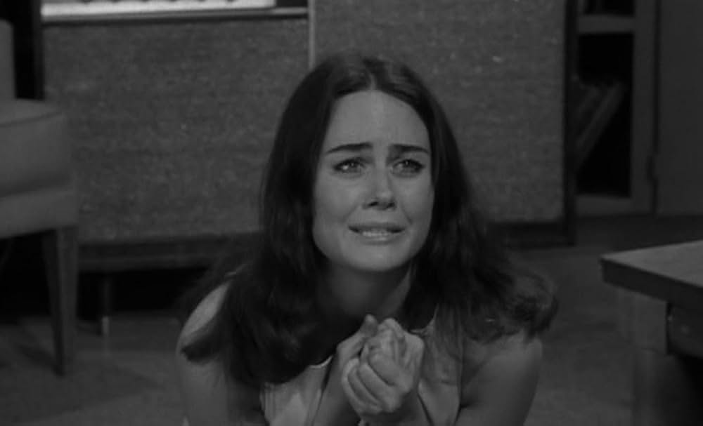 The Caretakers（原題）の画像