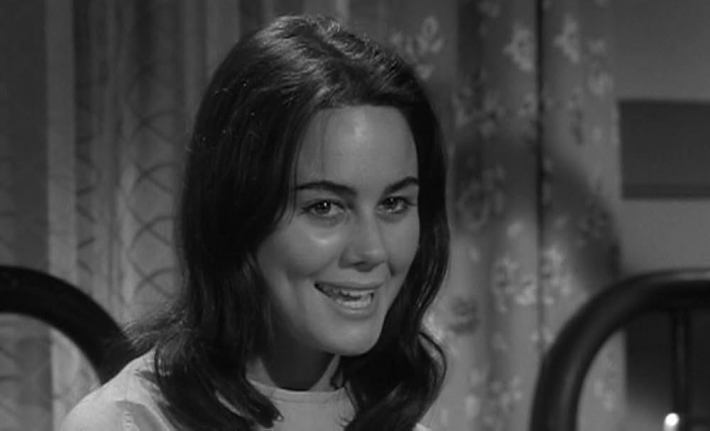 The Caretakers（原題）の画像