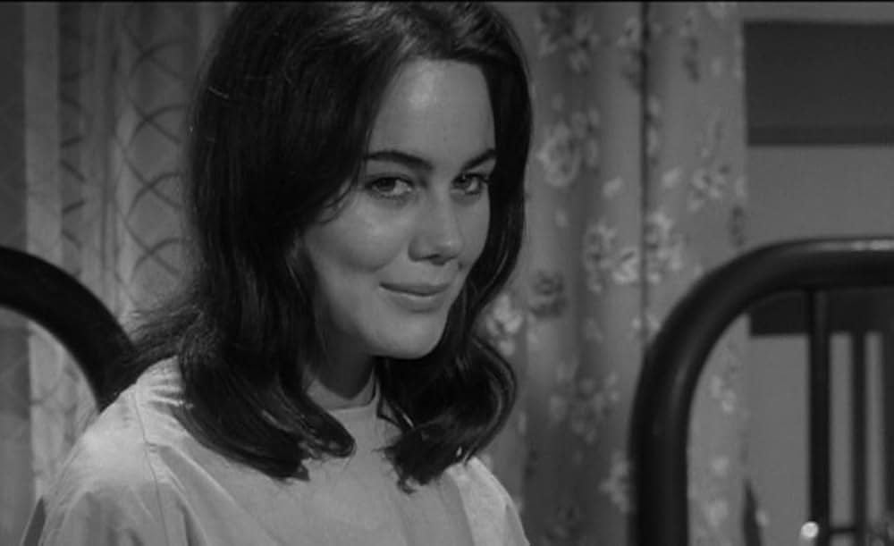 The Caretakers（原題）の画像