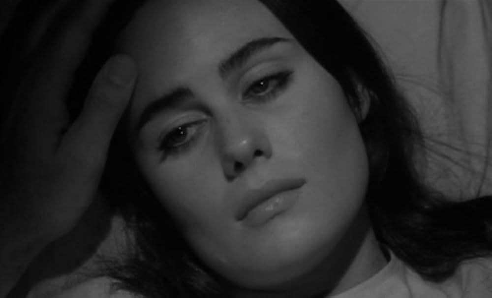 The Caretakers（原題）の画像