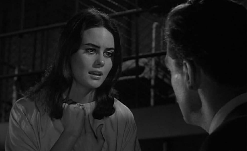 The Caretakers（原題）の画像