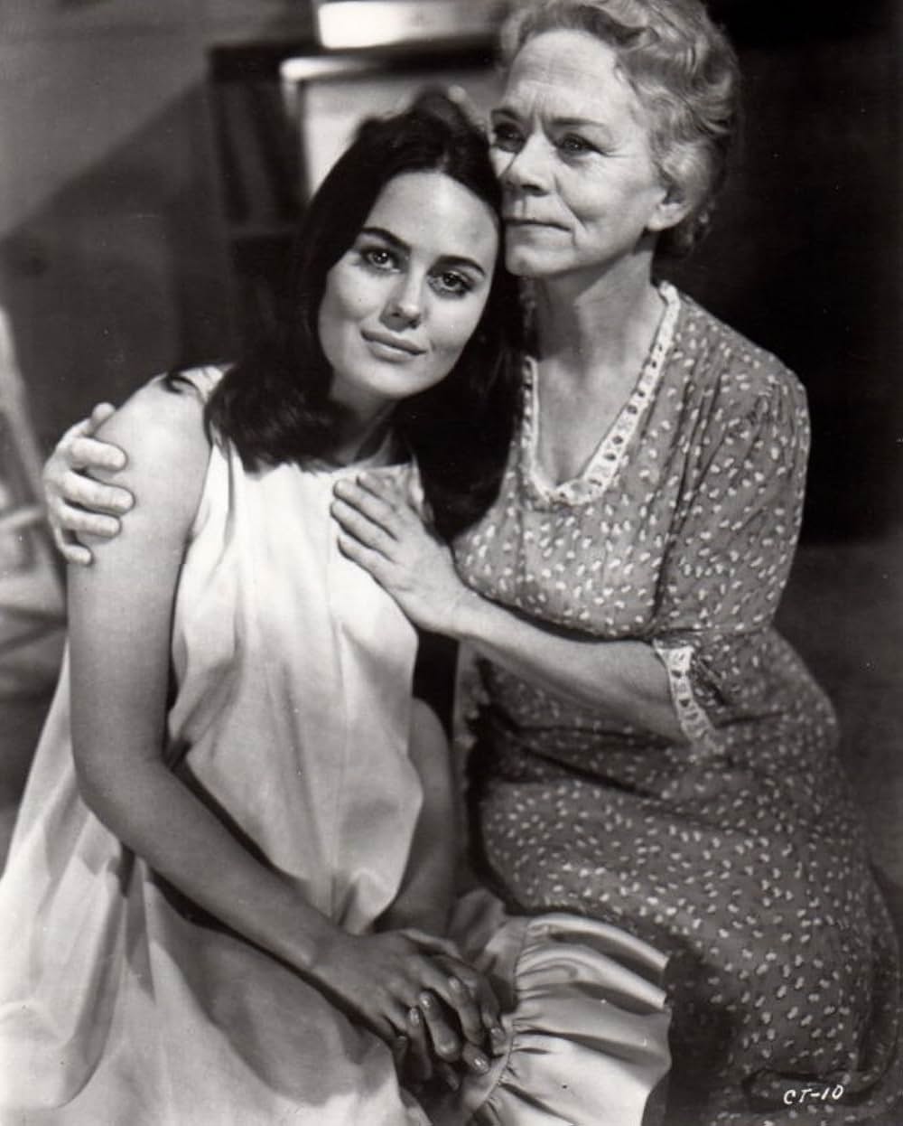 The Caretakers（原題）の画像