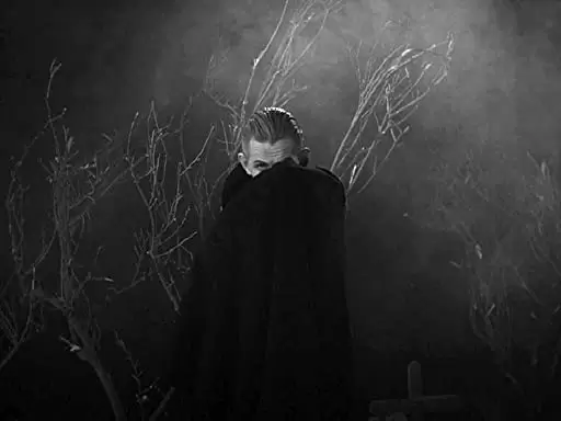 プラン9・フロム・アウター・スペースの画像