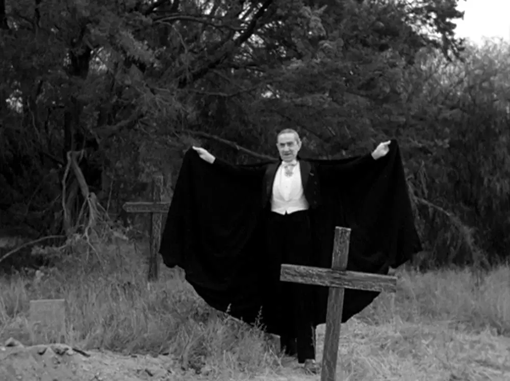 プラン9・フロム・アウター・スペースの画像