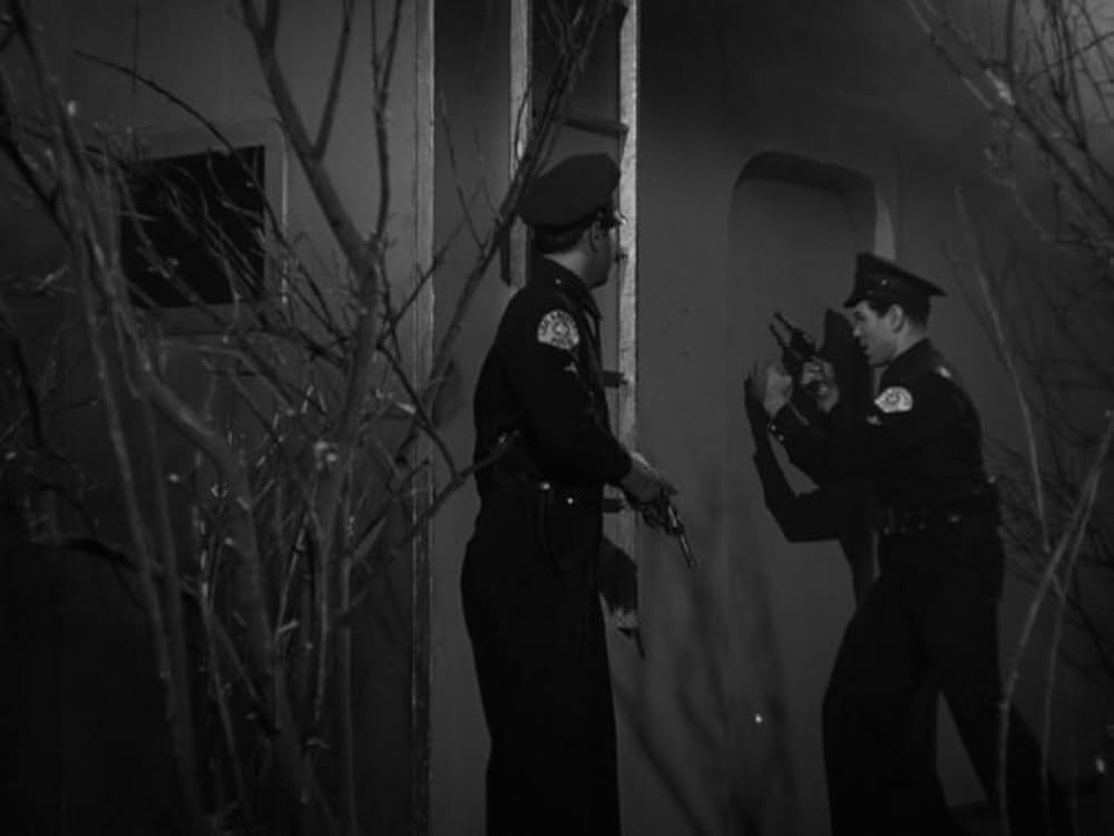 プラン9・フロム・アウター・スペースの画像