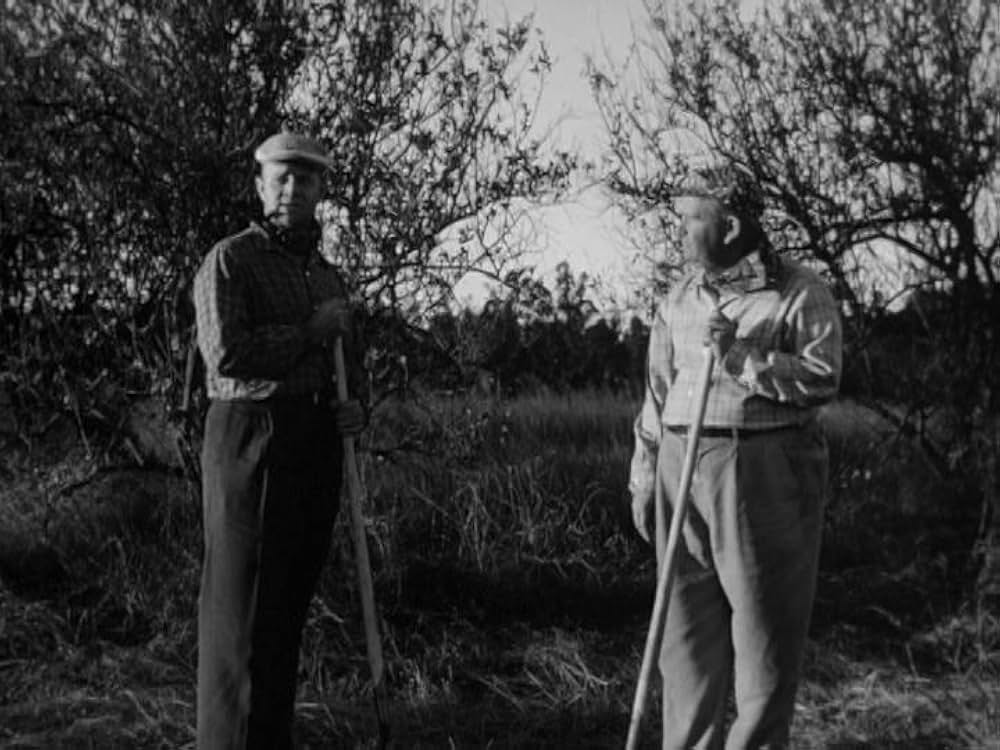 プラン9・フロム・アウター・スペースの画像