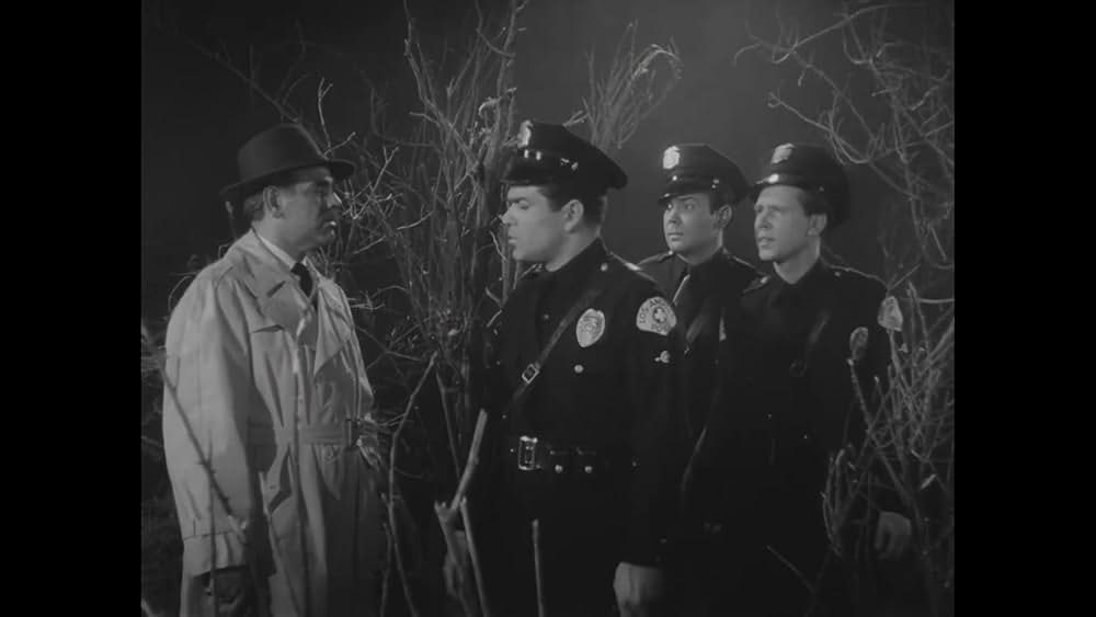 「プラン9・フロム・アウター・スペース」の画像