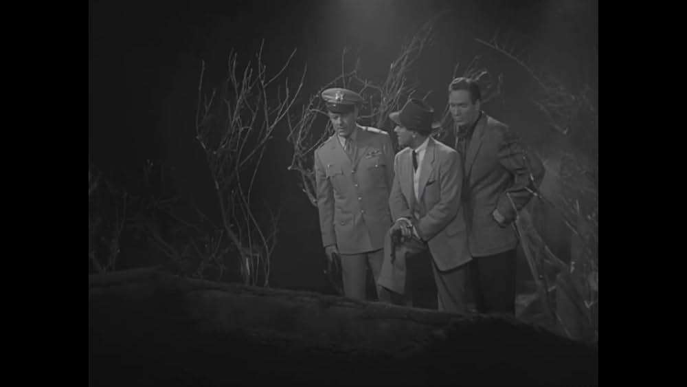 プラン9・フロム・アウター・スペースの画像