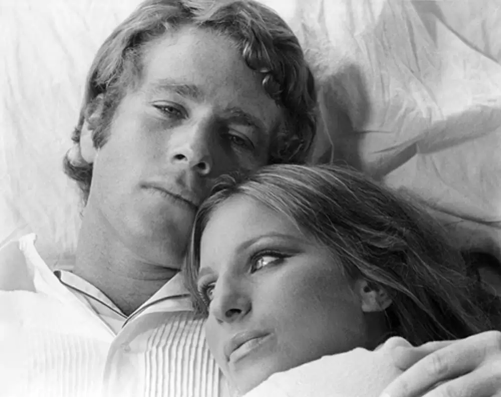 おかしなおかしな大追跡の画像