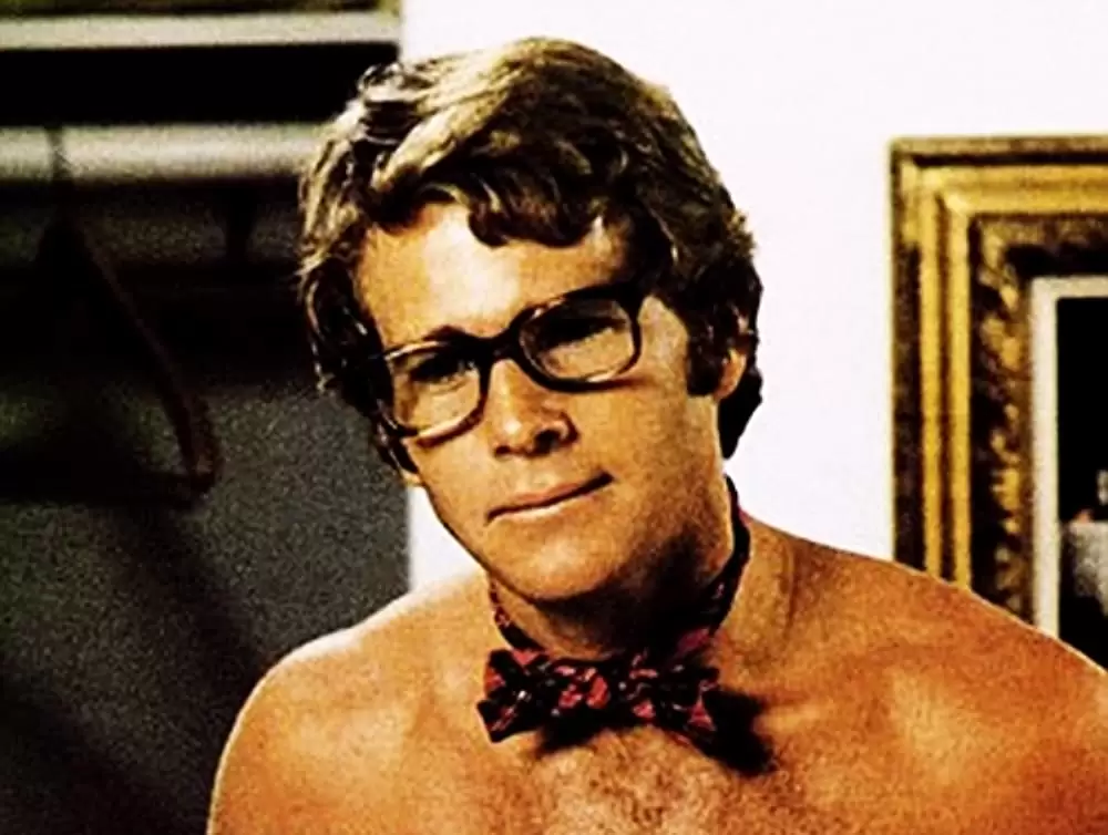 おかしなおかしな大追跡の画像