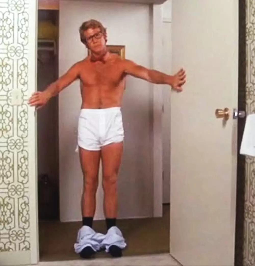 おかしなおかしな大追跡の画像