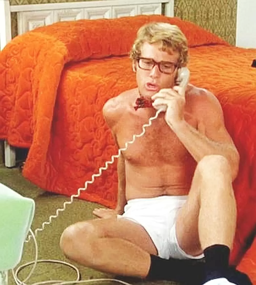 おかしなおかしな大追跡の画像