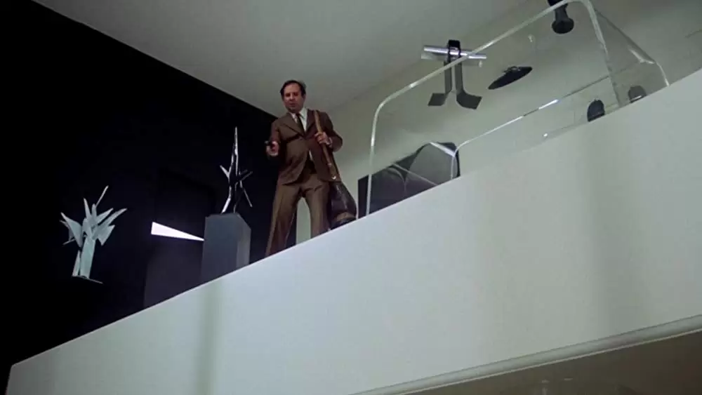 おかしなおかしな大追跡の画像