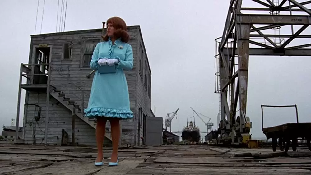 おかしなおかしな大追跡の画像