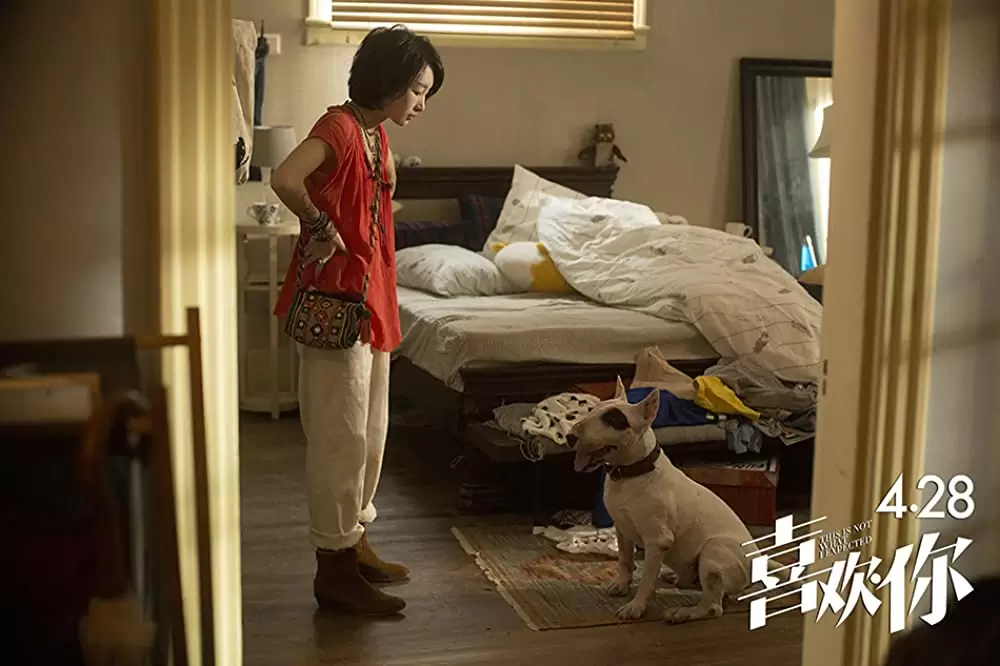 「恋するシェフの最強レシピ」周冬雨の画像