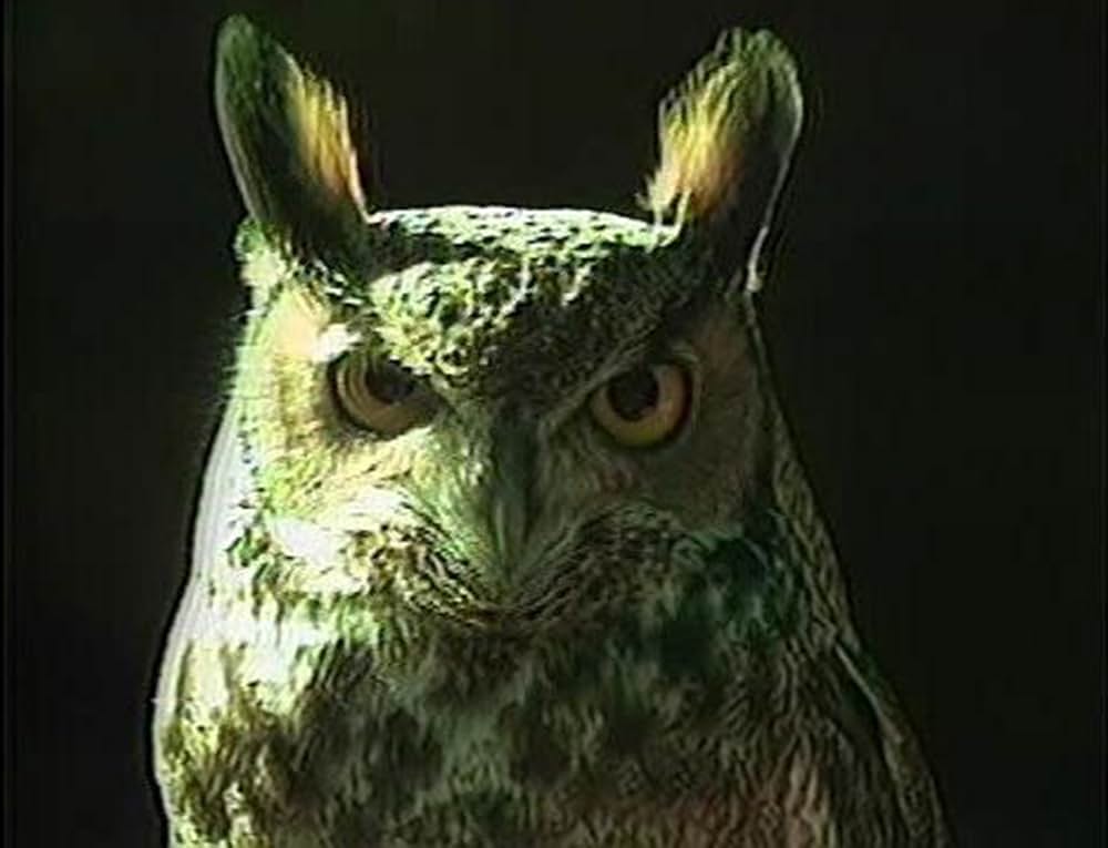 I Do Not Know What It Is I Am Like（原題）の画像