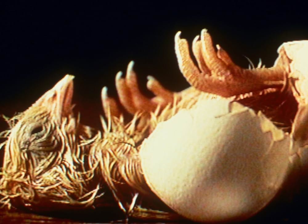 I Do Not Know What It Is I Am Like（原題）の写真