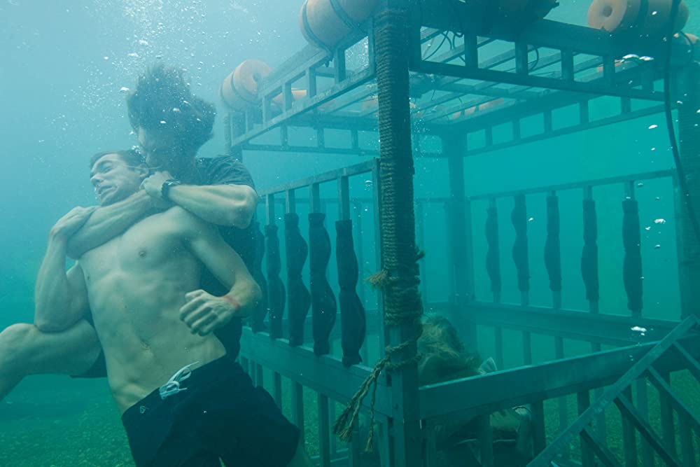 シャーク・ナイトの画像