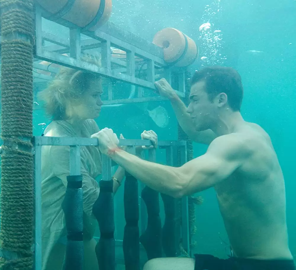 シャーク・ナイトの画像