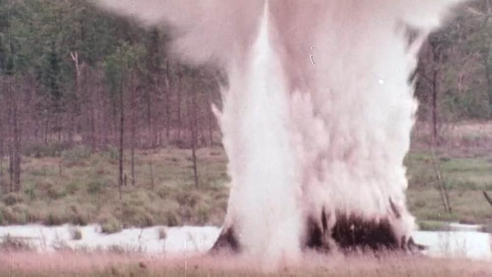 Bog（原題）の画像
