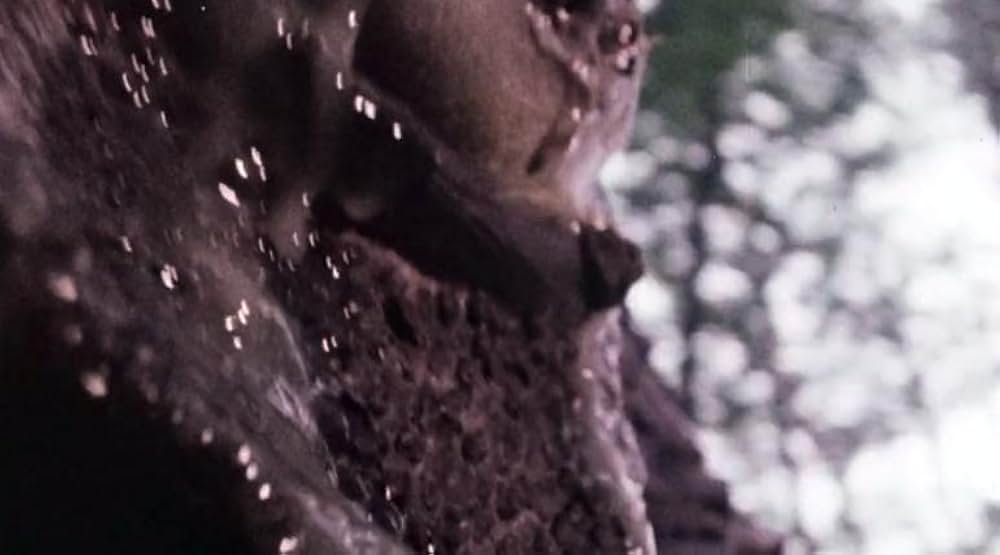 Bog（原題）の画像