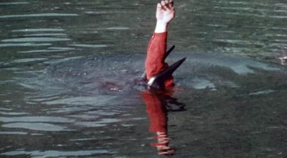 Bog（原題）の画像