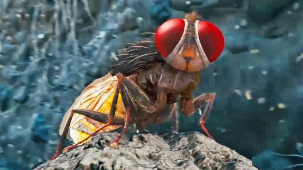 マッキー／Makkhiの画像