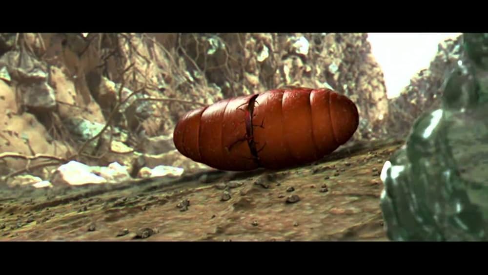 マッキー／Makkhiの画像