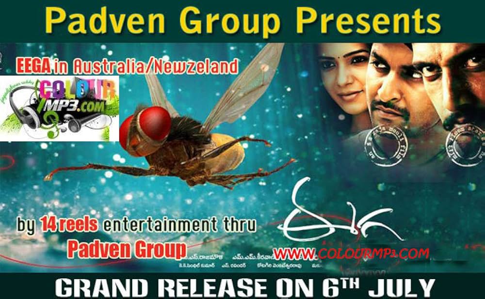 マッキー／Makkhiの画像