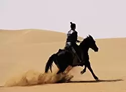 「ムーラン」赵薇の画像