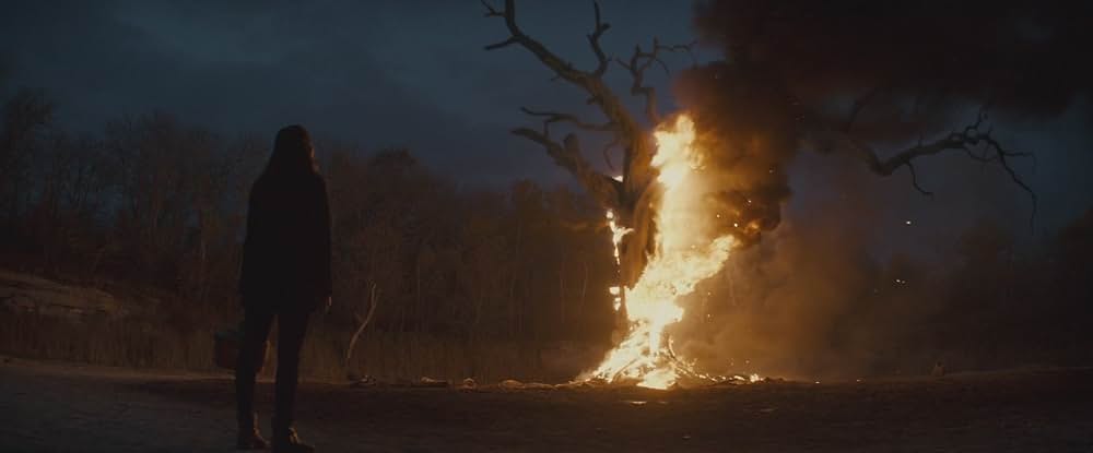 Blood（原題）の画像