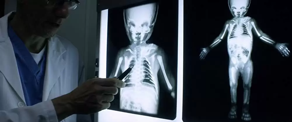 ルイの９番目の人生の画像