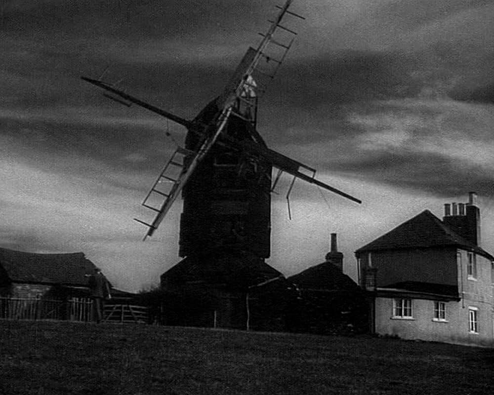 The Quiet Woman（原題）の画像