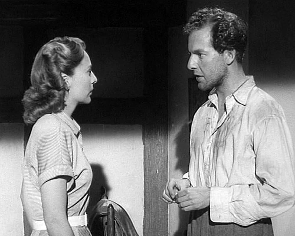 The Quiet Woman（原題）の画像