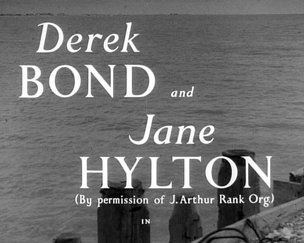 The Quiet Woman（原題）の画像