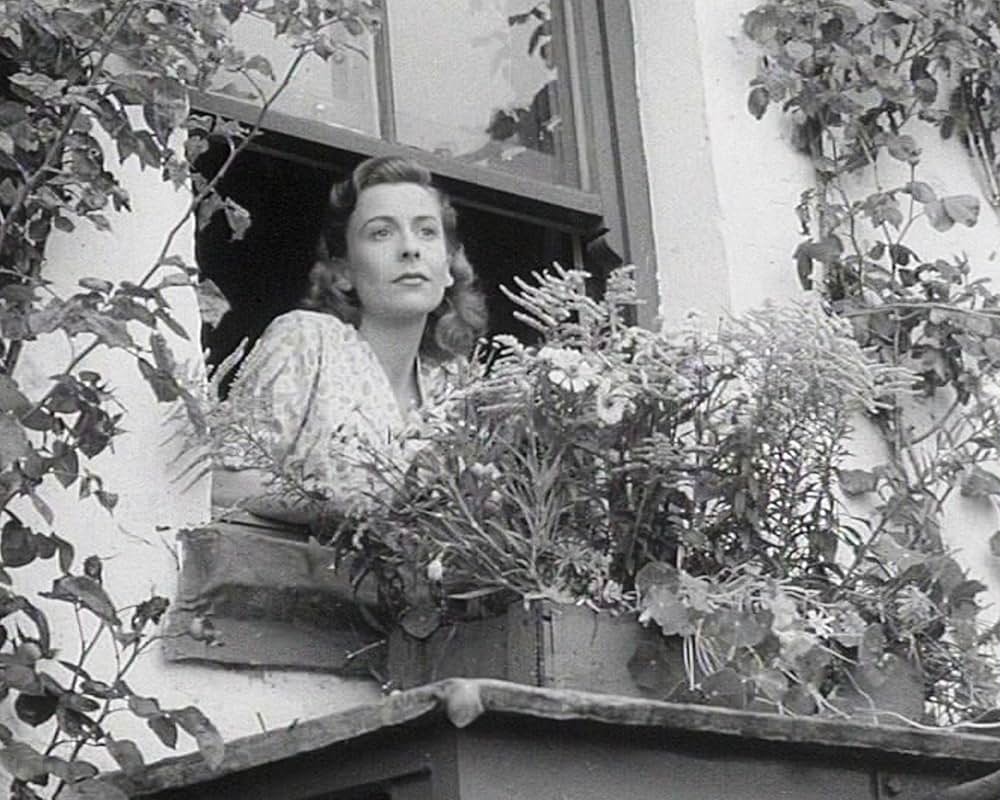 The Quiet Woman（原題）の画像