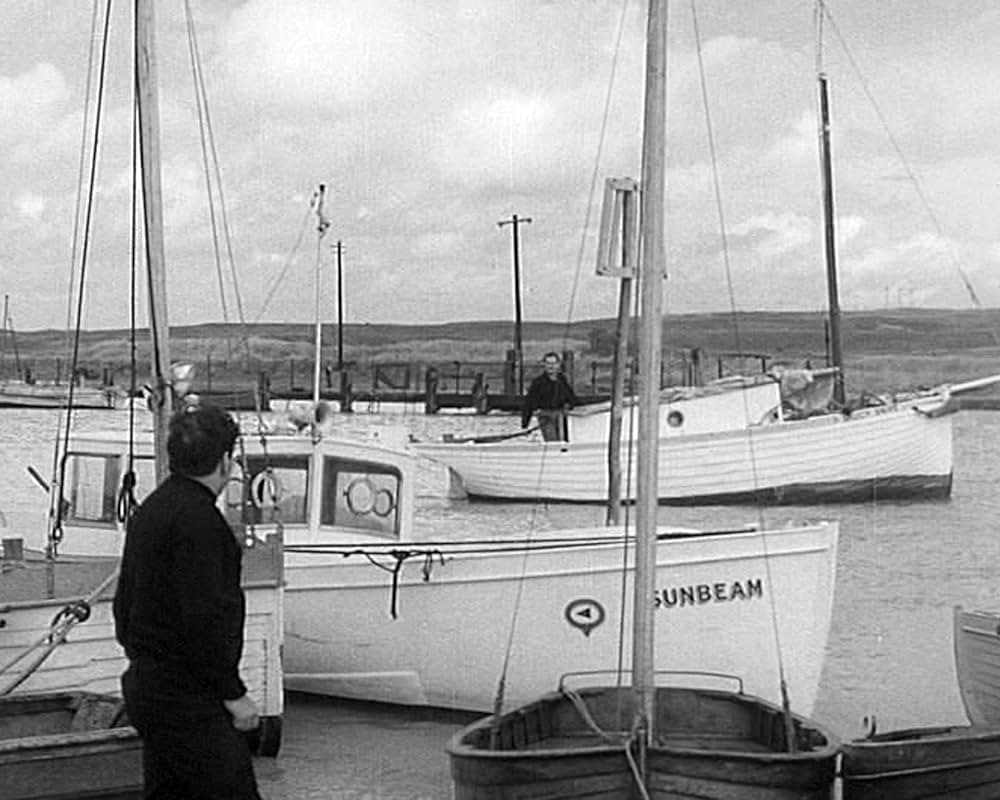 The Quiet Woman（原題）の画像