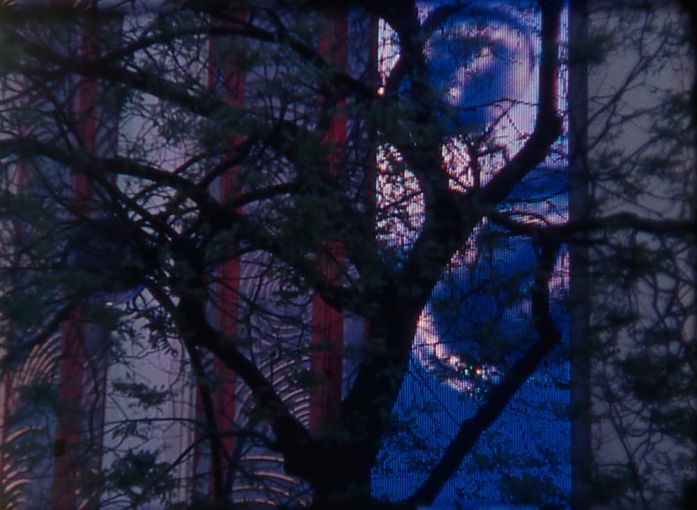 Pastourelle（原題）の写真