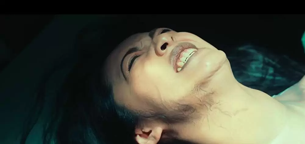 ドラゴン・クロニクル 妖魔塔の伝説の画像