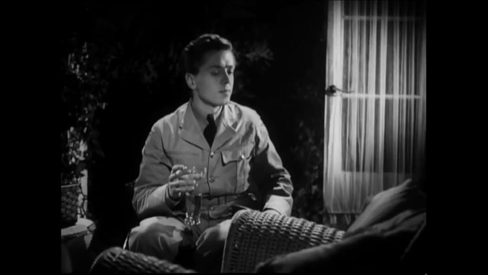 天空の友情の画像