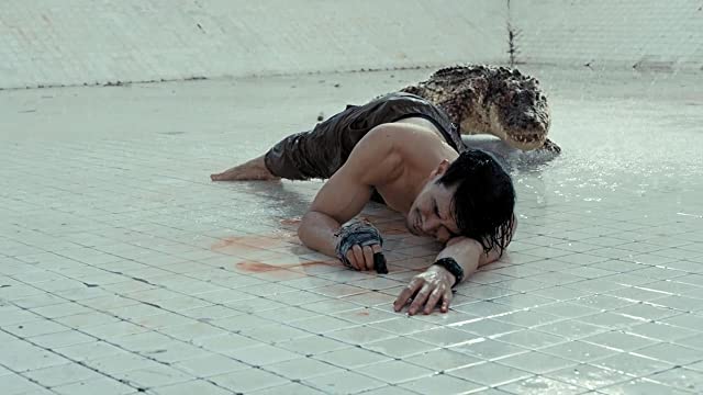 THE POOL ザ・プールの画像