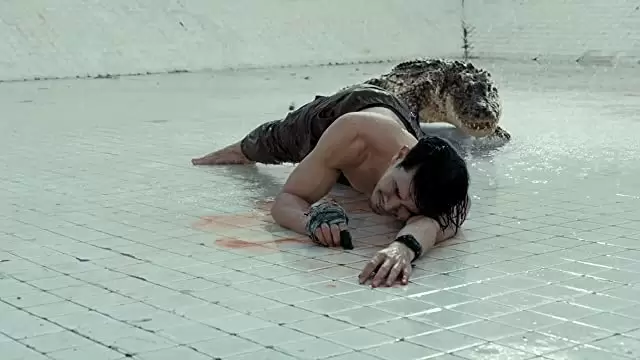 THE POOL ザ・プールの画像