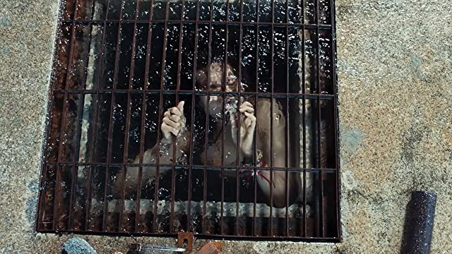 THE POOL ザ・プールの画像