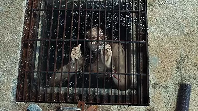 THE POOL ザ・プールの画像