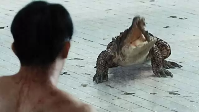 THE POOL ザ・プールの画像