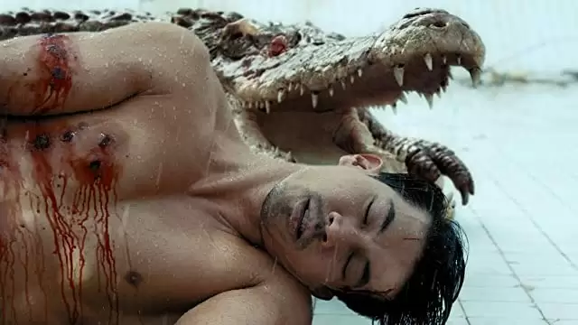 THE POOL ザ・プールの画像