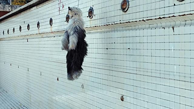 THE POOL ザ・プールの画像